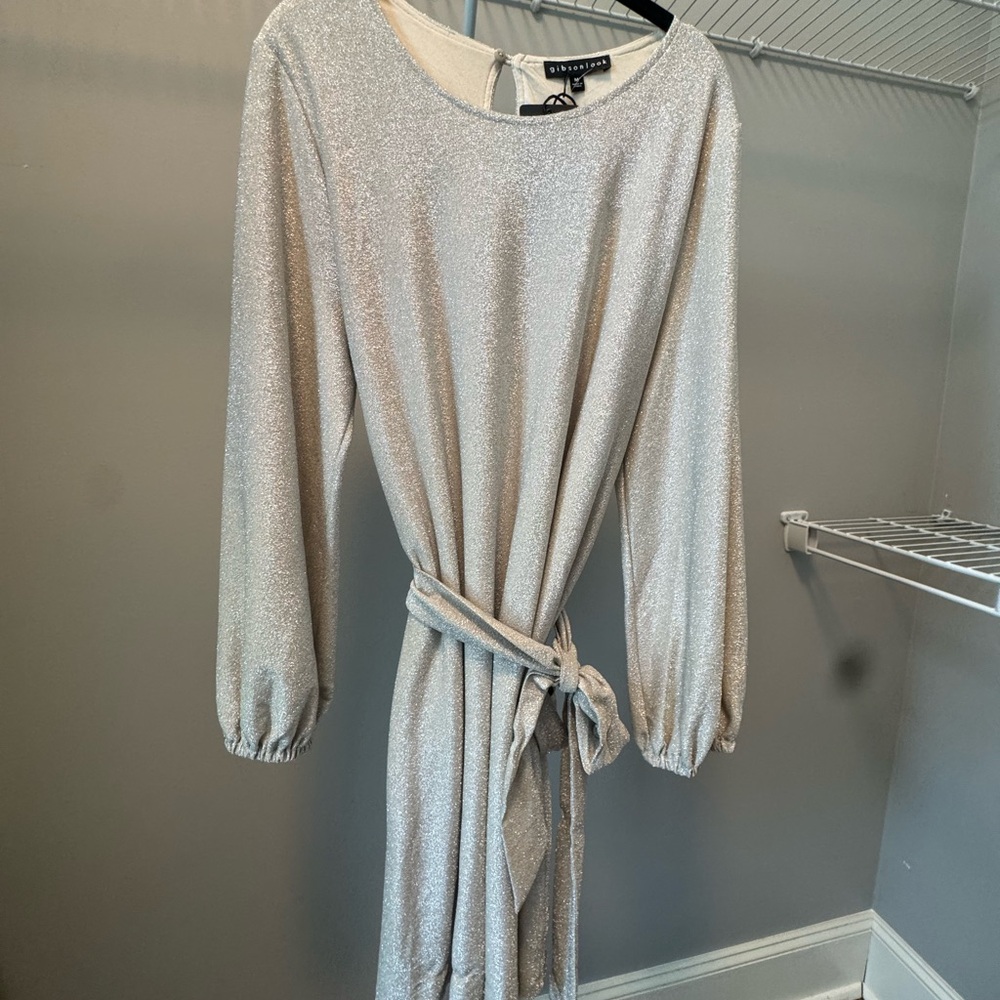 Shimmering Silver Long Sleeve Dress by Express